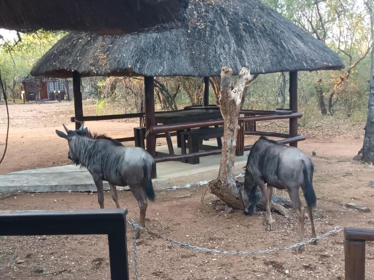 South Safari Lodge Marloth Park Exterior photo